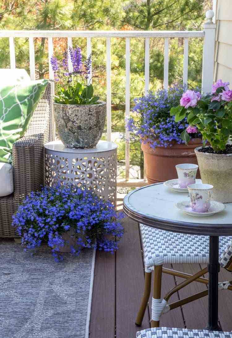 Sommer Dekoration für draußen auf der Terrasse blühende Pflanzen in Lila