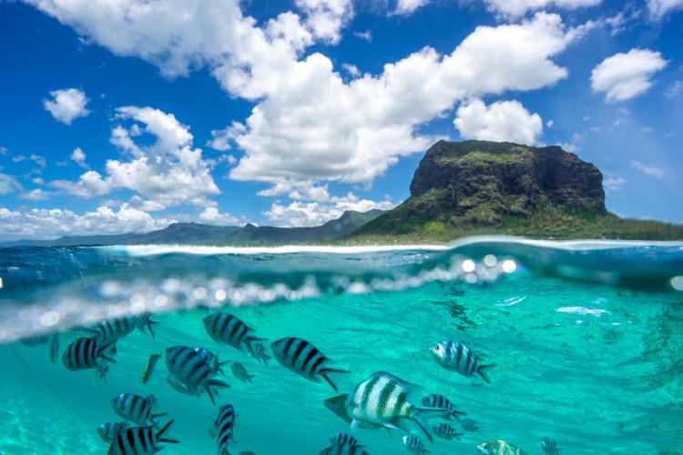 Urlaub auf Mauritius und Corona Insel ist sicher welche Regeln