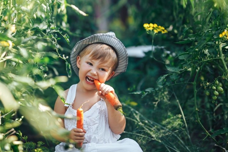Was Kinder essen Tipps für gesunde Ernährung
