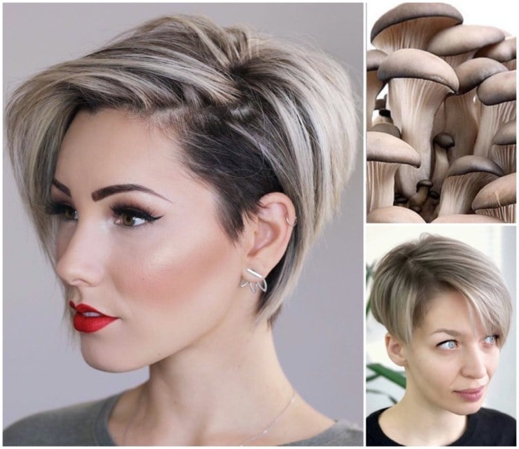 aktuelle haarfarben für kurze haare mushroom blonde