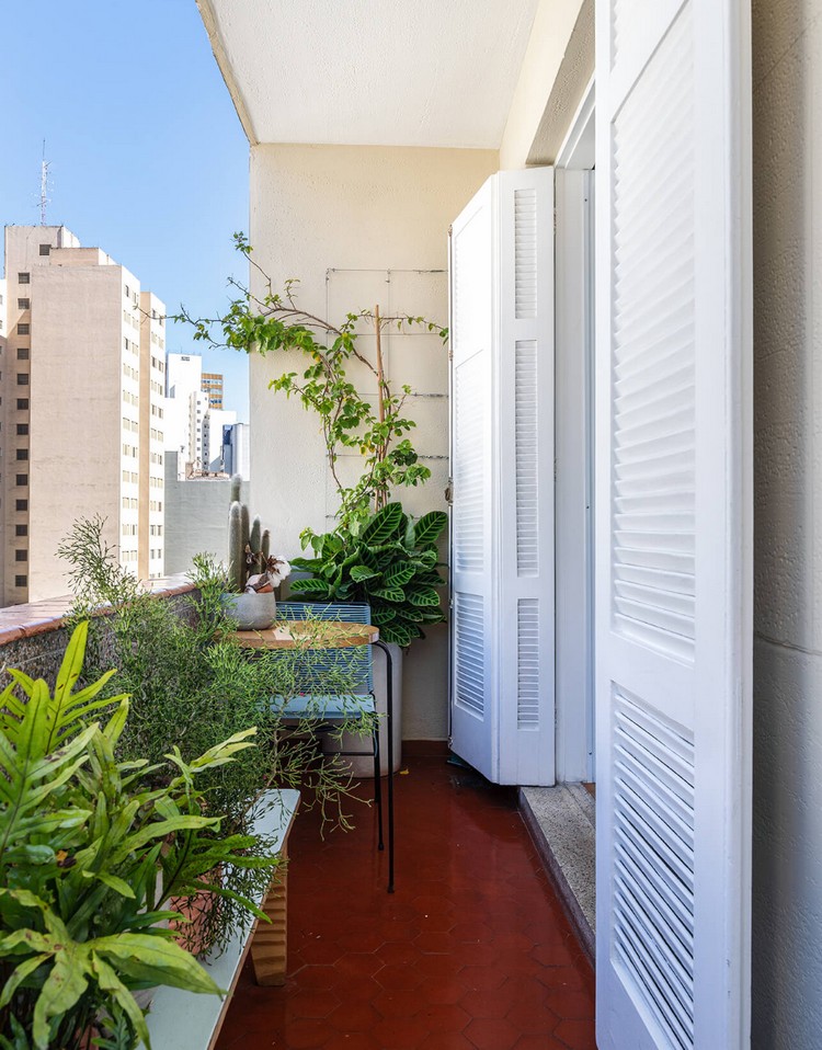 welche Pflanzen für kleinen Balkon exotische Farne und Gräser