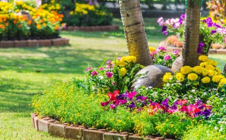 welche pflanzen rund um den Baum pflanzen tiefwurzelnde Gehölze unterpflanzen