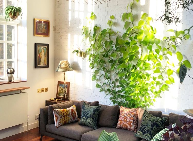 wohnzimmer wand mit kletterpflanze dekorieren