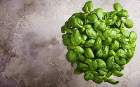 Basilikum haltbar machen - Methoden, Tipps und Tricks