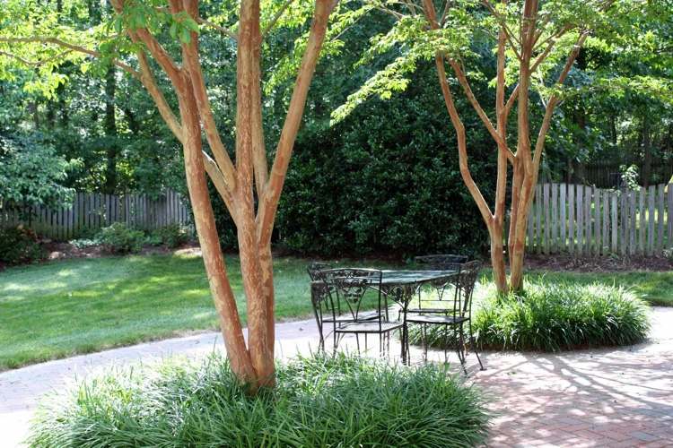 Baum als Schattenspender für Terrasse und Sitzplatz im Garten Tipps