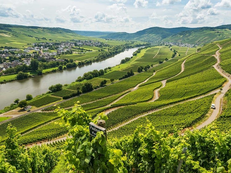 Brauneberg Weingut Urlaub an der Mosel Tipps