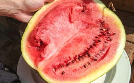 Eine gelbe Schale ist ein Zeichen für eine hohe Konzentration von Nitraten