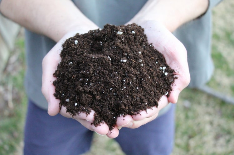 Erde mit Kompost und Sand mischen, um ihre Durchlässigkeit in Beeten zu verbessern
