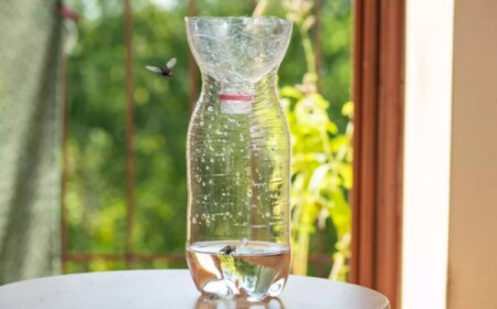Fliegenfalle bauen mit Hausmitteln Essig und PET Flasche