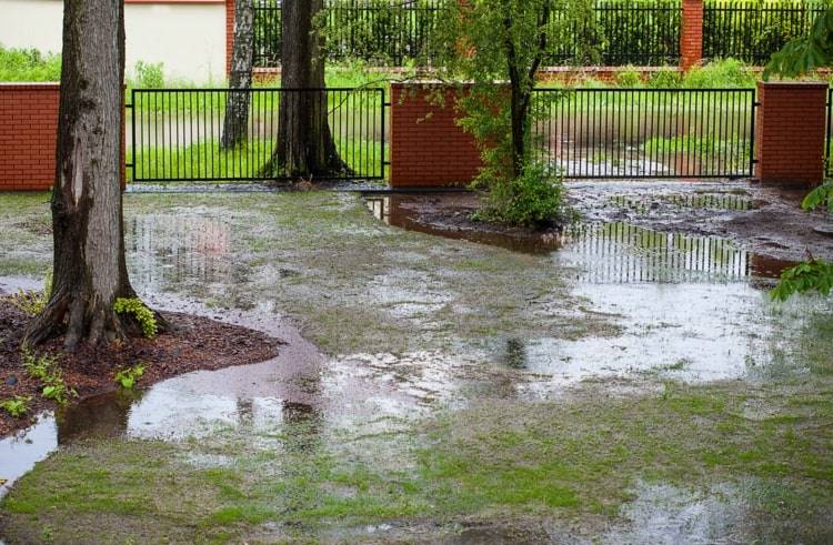 Garten unter Wasser - Was tun gegen die Überflutung von Rasen und Beeten