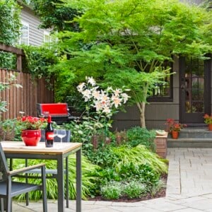 Hausbaum für kleinen Garten Beispiel für falsche Vorgarten Gestaltung