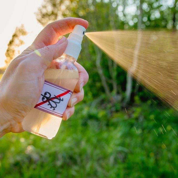 Haushaltsmittel gegen Stechmücken Knoblauchwasser in Sprühflasche