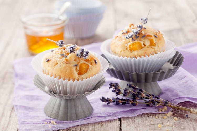Lavendel-Muffins backen Aprikosen Backrezepte einfach