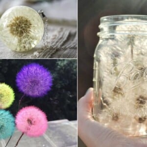 Pusteblume Deko mit Epoxidharz, im Glas oder gefärbt - Ideen und Anleitungen