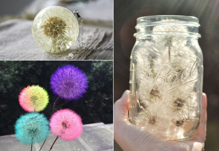 Pusteblume Deko mit Epoxidharz, im Glas oder gefärbt - Ideen und Anleitungen