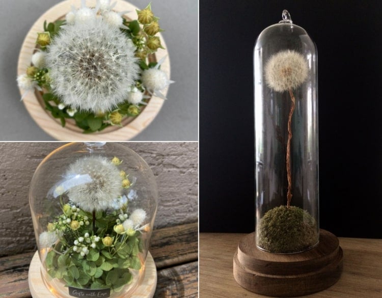 Pusteblume Deko unter einer Glasglocke - Blumenarrangements für Hobby-Floristen