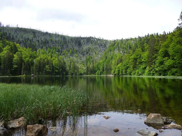 Rachelsee bayerischer Wald die schönsten Seen in Deutschland