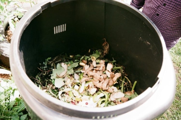 Richtig kompostieren was gegen Maden in der Biomülltonne machen