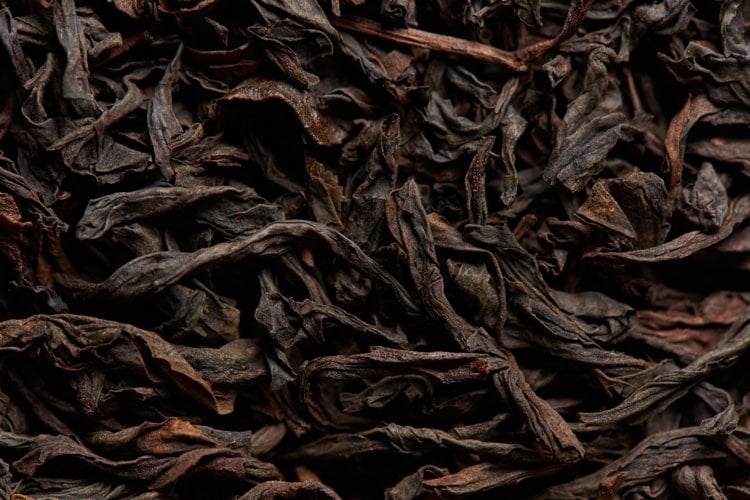 Schwarzer Tee enthält Gerbstoffe, die die Blattlaus nicht mag