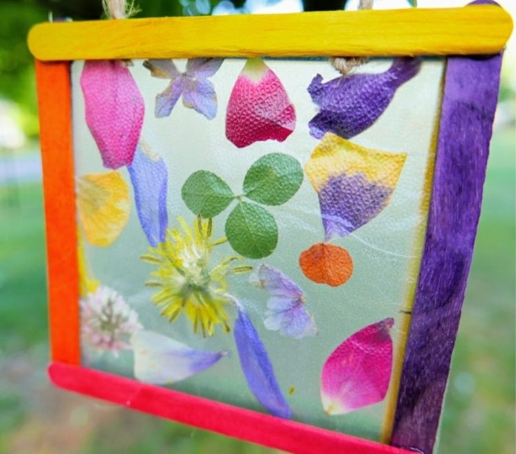 Suncatcher basteln mit Naturmaterial im Sommer aus bunten Blütenblättern und Klee