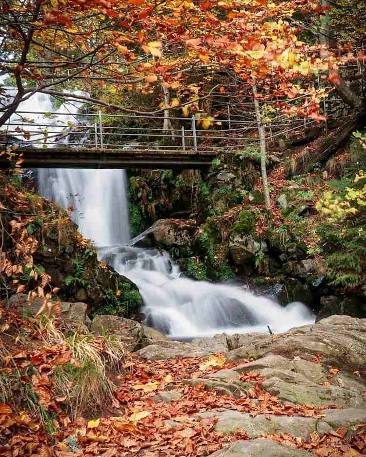 Todtnauer Wasserfälle Deutschland Urlaub in der Natur machen Tipps