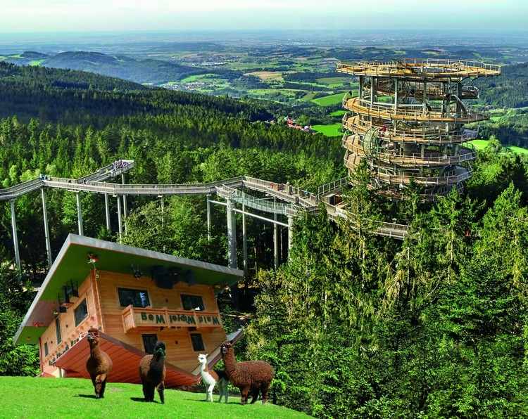 Waldwipfelweg Bayern Urlaub bayerischer Wald Tipps