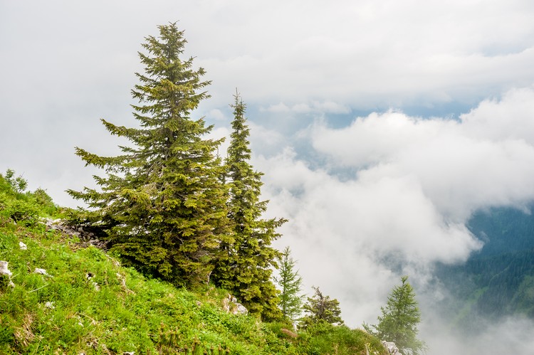 Wanderwege bayerischer Wald die schönsten Seen in Deutschland