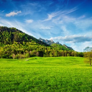 Wanderwege in Bayern Urlaub im bayerischen Wald Tipps