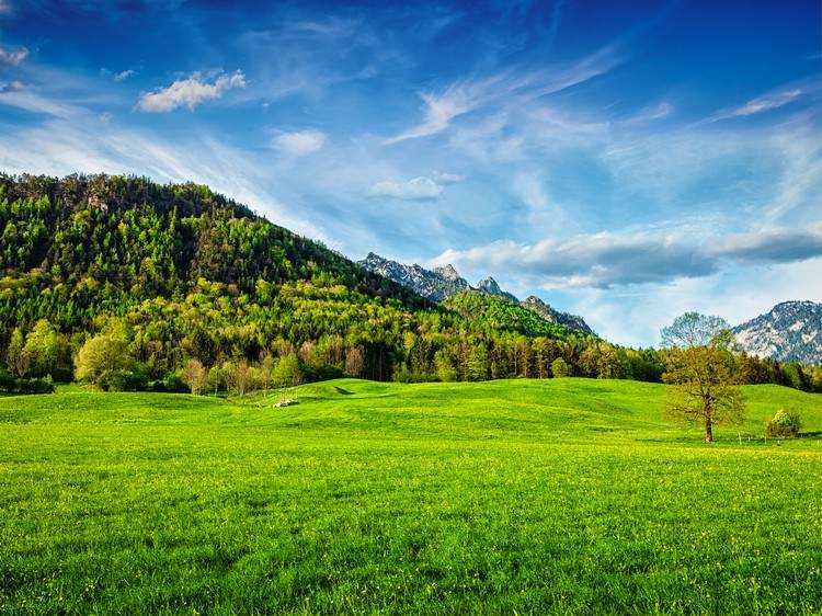 Wanderwege in Bayern Urlaub im bayerischen Wald Tipps