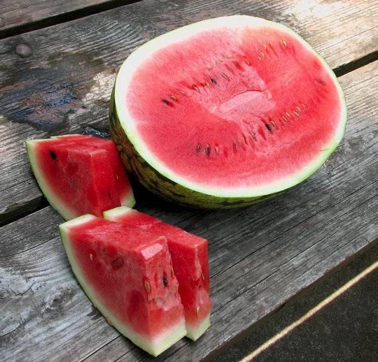 Wann ist eine Wassermelone reif