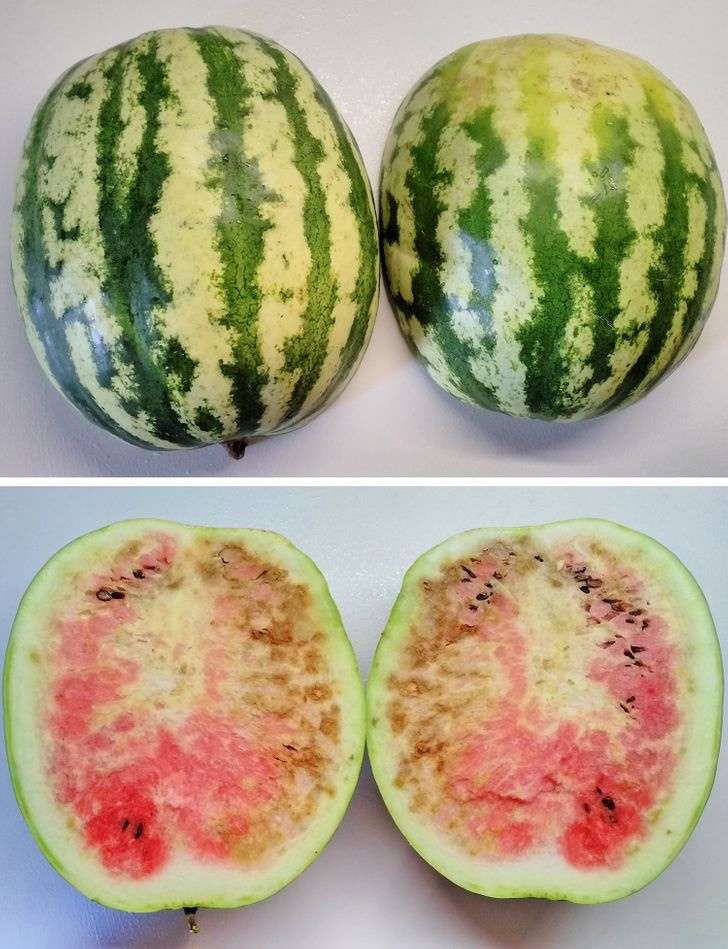 Wann ist eine Wassermelone schlecht