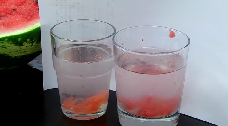 Wassermelonenstücke in ein Glas Wasser geben und für Nitrate testen