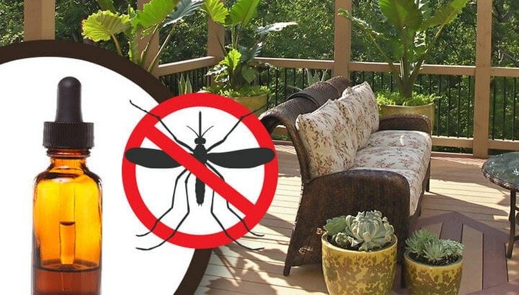 Wie Mücken auf der Terrasse bekämpfen und loswerden