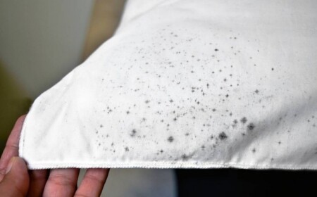 Wie sieht Schimmel auf Textilien aus