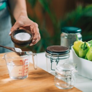 durch fermentation zubereitete vegetarische und präbiotische lebensmittel fördern die darmgesundheit