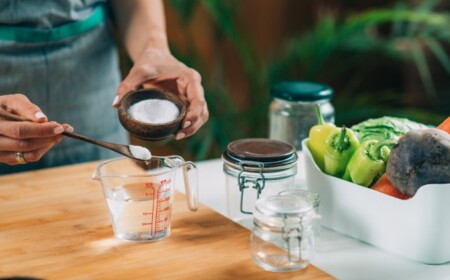 durch fermentation zubereitete vegetarische und präbiotische lebensmittel fördern die darmgesundheit