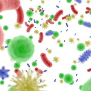 mikroorganismen und pilze im darm als krankheitserreger und helfer vom immunsystem