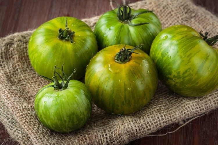 sind grüne Tomaten giftig Besenreiser entfernen Hausmittel