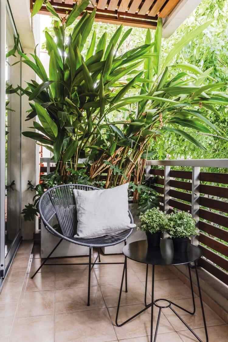 tropische balkonpflanzen auf modernem urban jungle balkon