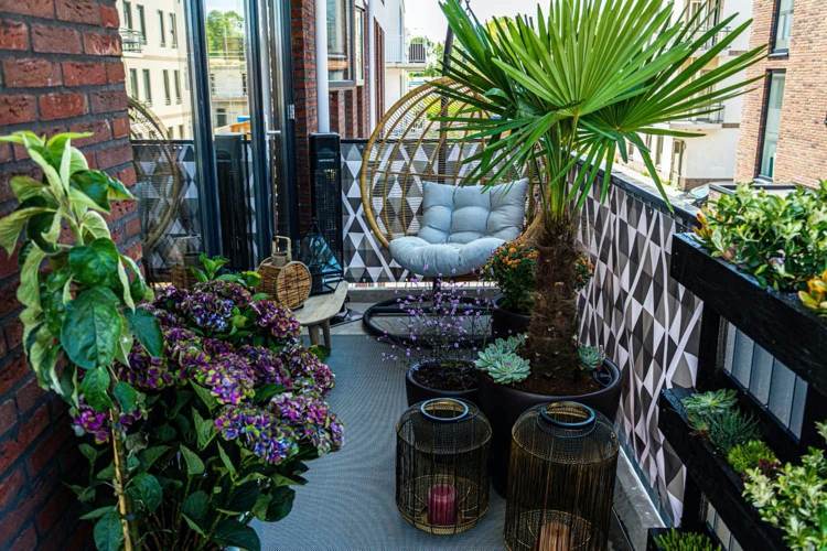 urban jungle balkon gestaltung mit hängesessel und vielen pflanzen