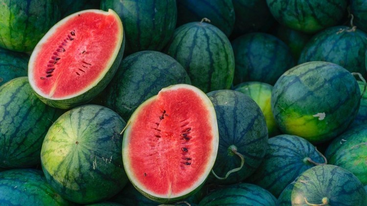 wie erkennt man gute wassermelonen