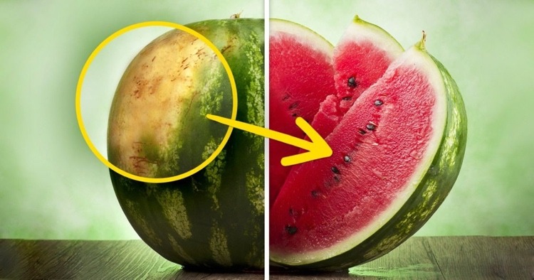woran erkennt man gute wassermelonen