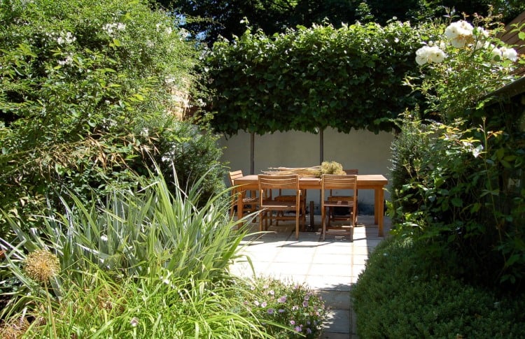 Spalierbaum als Sichtschutz immergrüne Arten für heimischen Garten und Terrasse