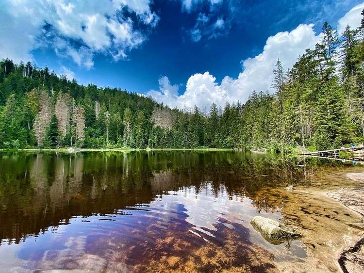 Urlaub in Deutschland in der Natur Naturpark Schwarzwald Sehenswürdigkeiten