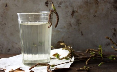 Was bewirkt Birkenwasser warum trinken