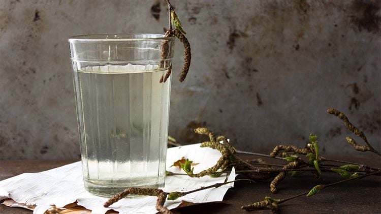 Was bewirkt Birkenwasser warum trinken