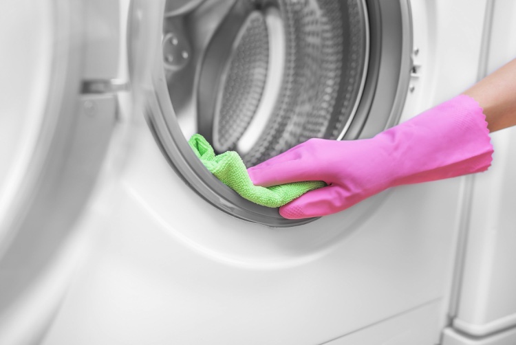 Waschmaschine reinigen warum Trommel und Gummidichtungen und Schläucher sauber machen per Hand