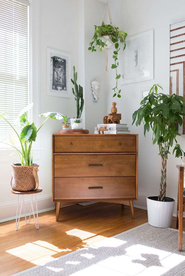 Wie das Schlafzimmer günstig verschönern mit Pflanzen