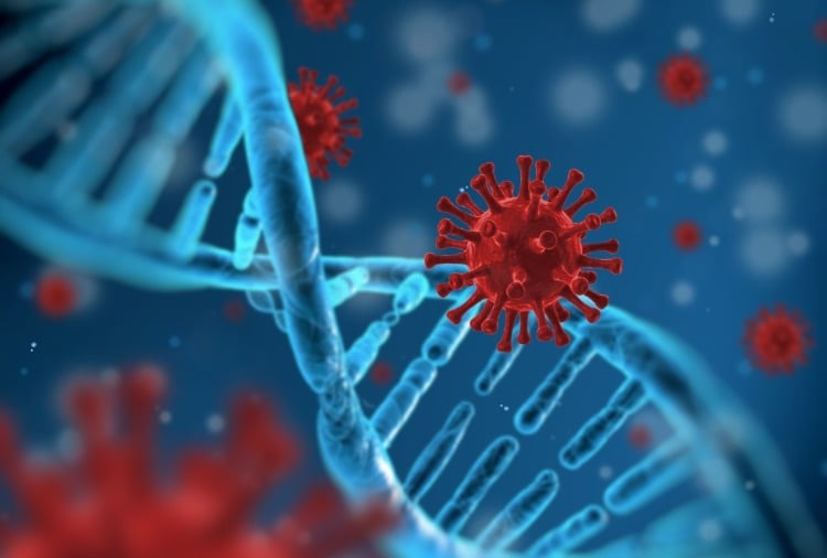 anfälligkeit für schweren krankheitsverlauf bei coronavirus könnte genetisch bedingt sein