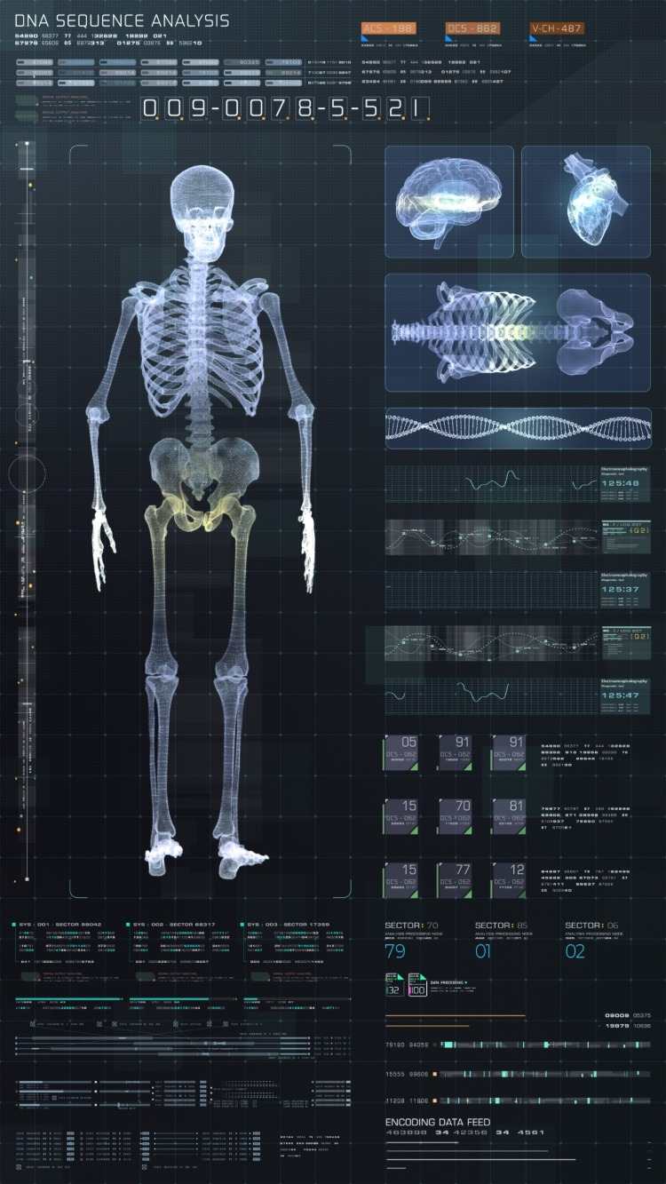 biometrisches scan der skelettmuskulatur zwecks neurologischer analyse der dna